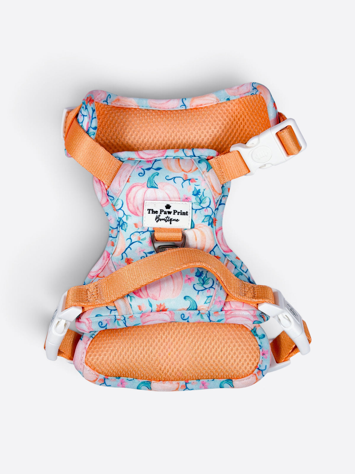 Pablos Pumpkins Adventure Paws Harness