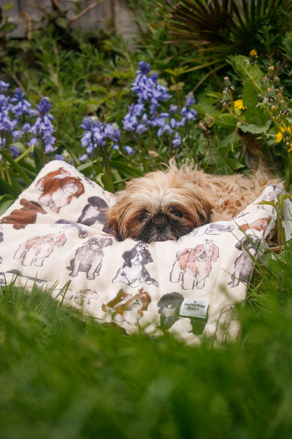 Shih Tzu Dog Blanket