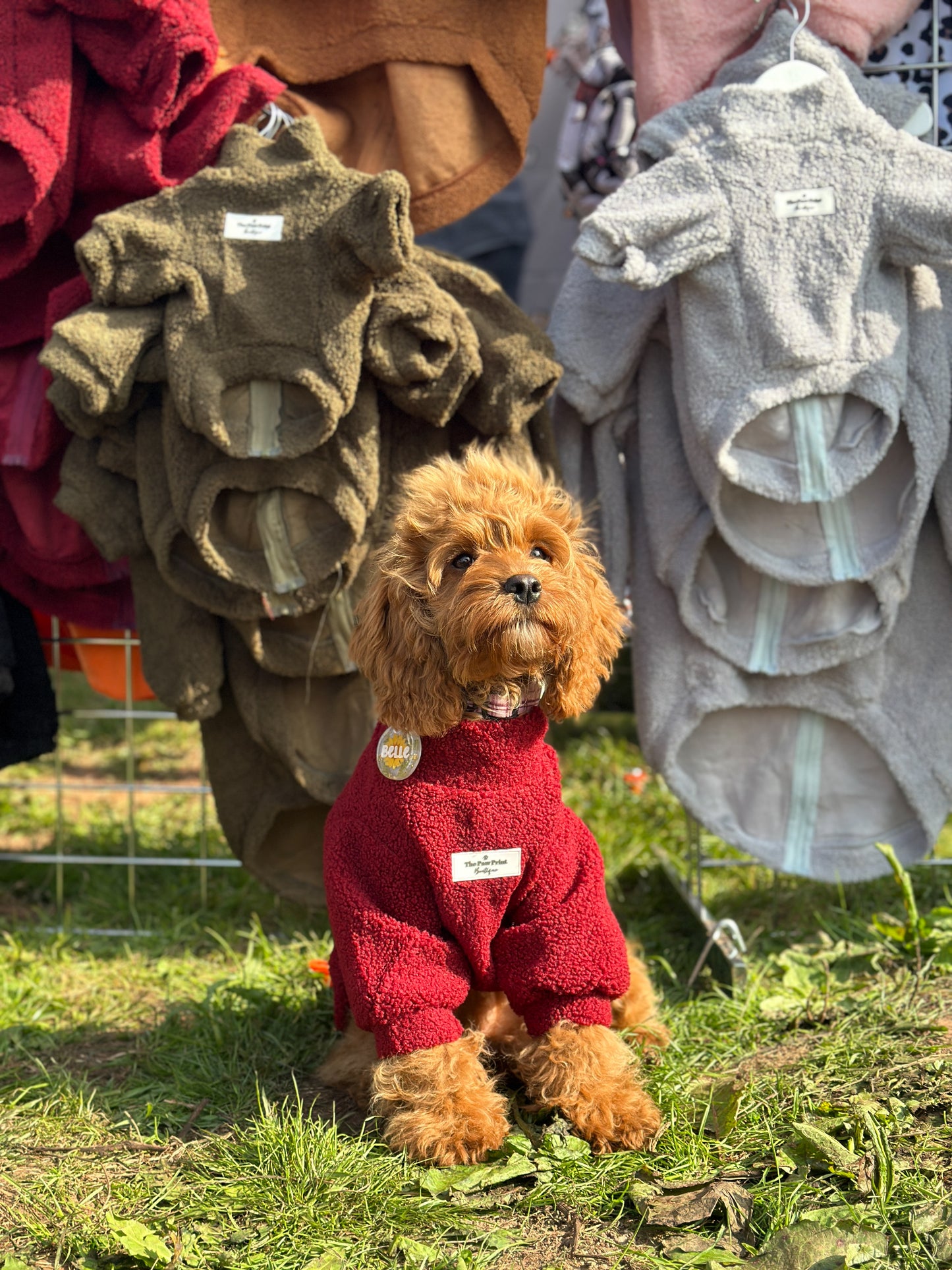 The Mulberry Teddy Fleece