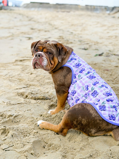 The Blueberry Gingham Cooling Vest