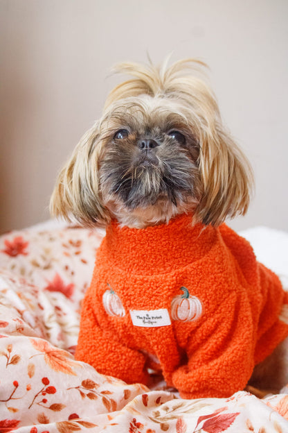 The Embroidered Pumpkins Teddy Fleece