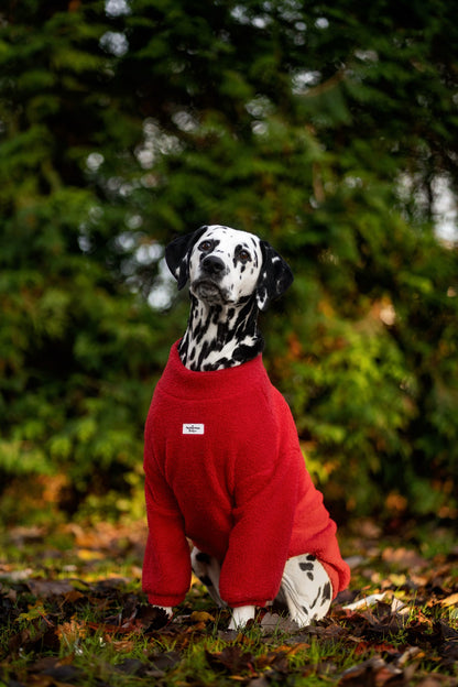 Teddy Fleece - Red Berry