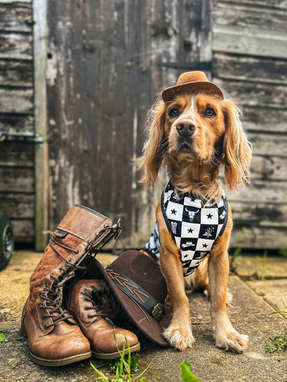 The Wild West Cooling Vest