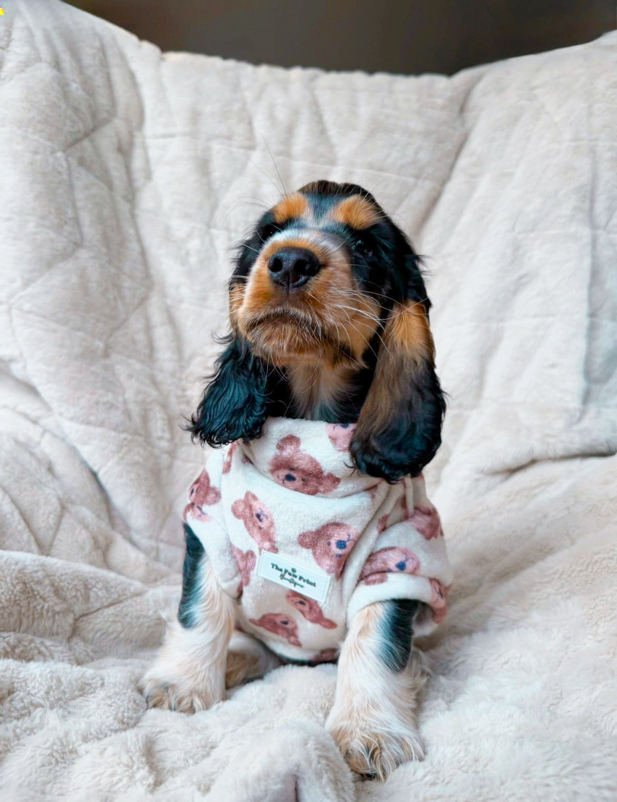 Little Bear Cub Snuggle Fleece