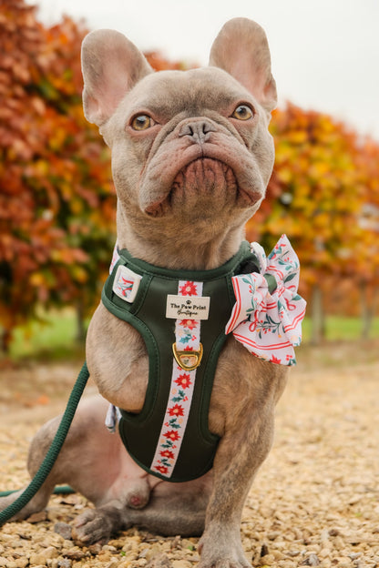 Festive Traditions Adventure Paws Harness