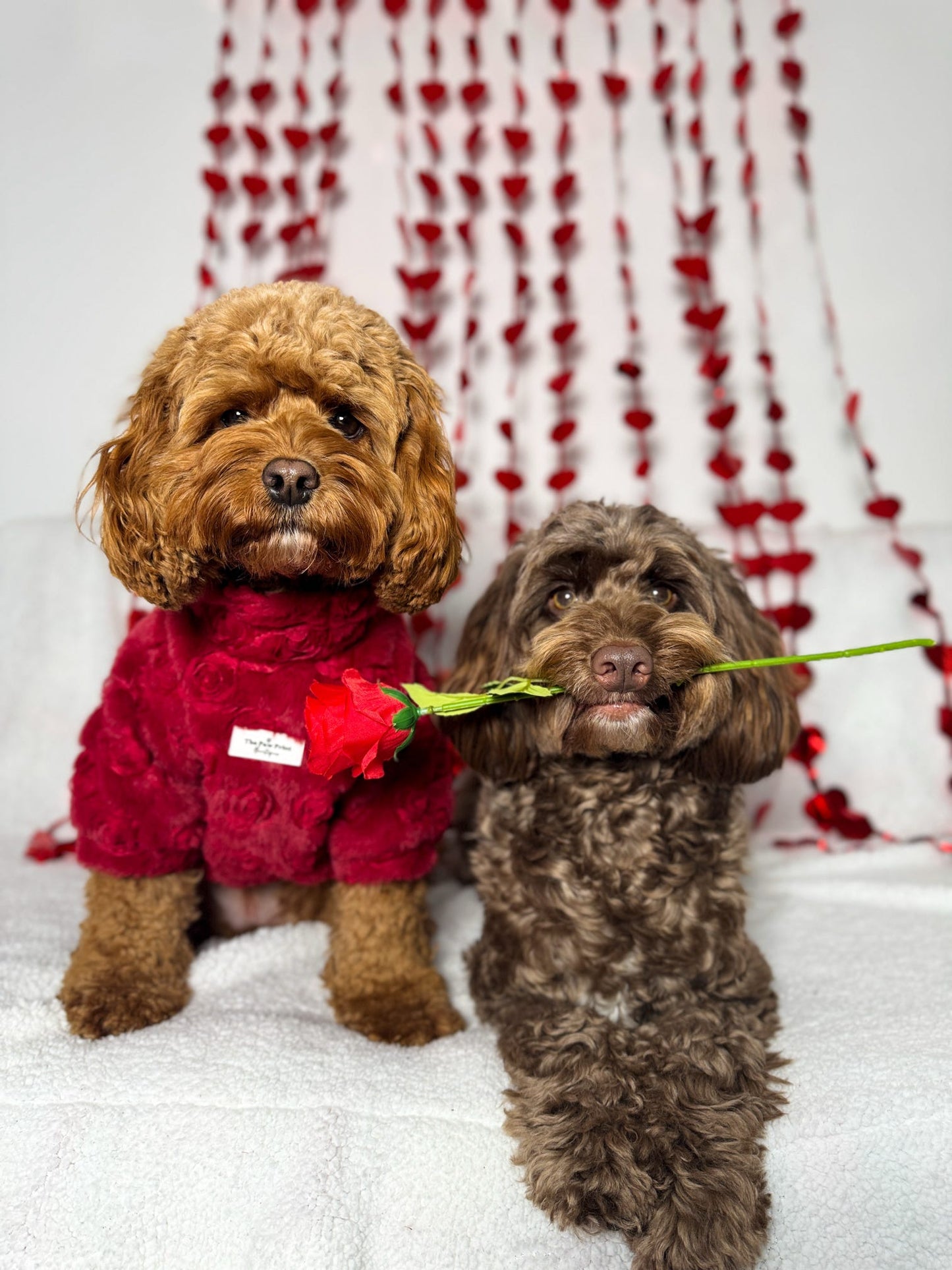 The Roses Fleece - Red