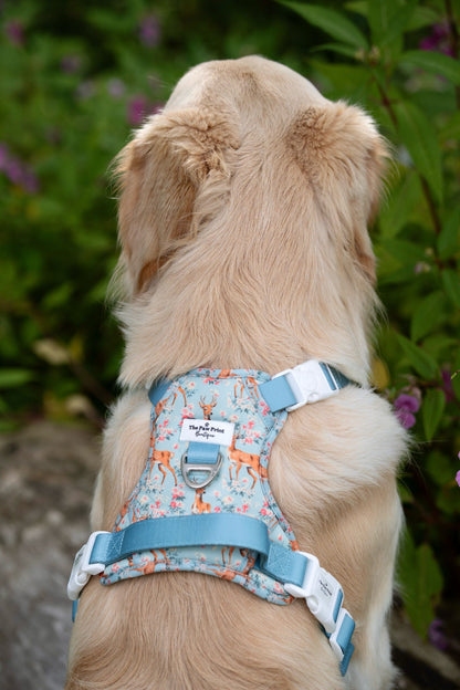 Bambi in Bloom Adventure Paws Harness