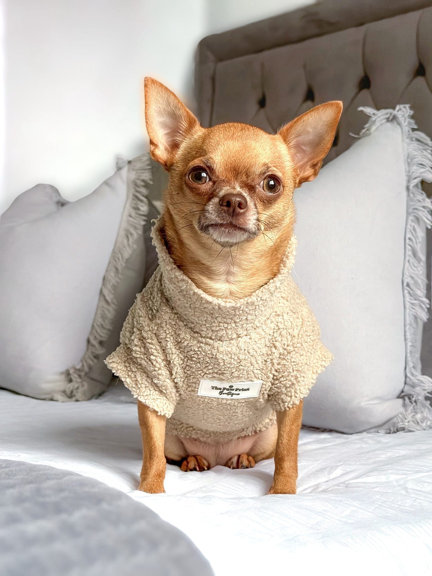 The Beige Teddy Fleece