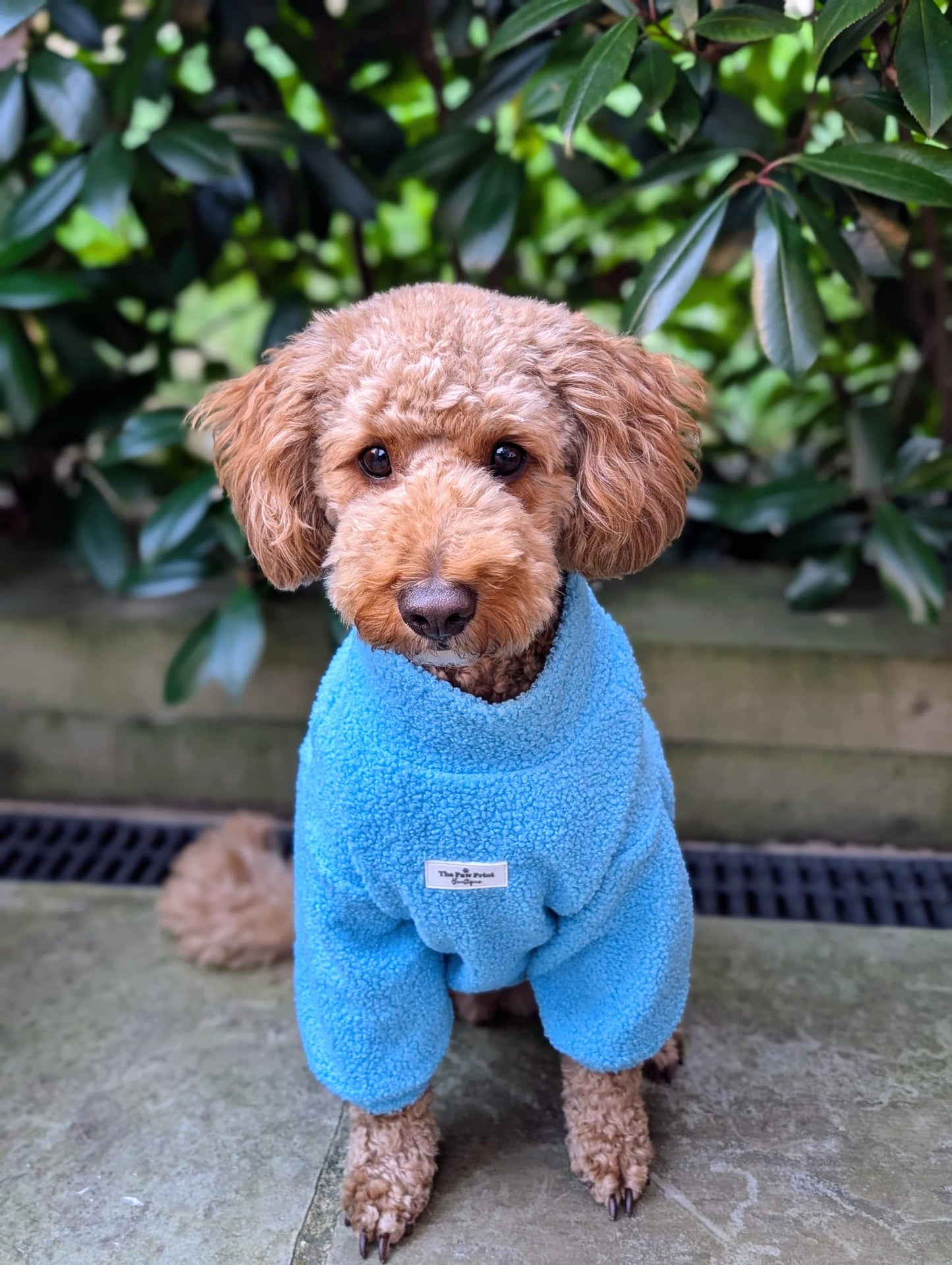 Teddy Fleece - Ocean