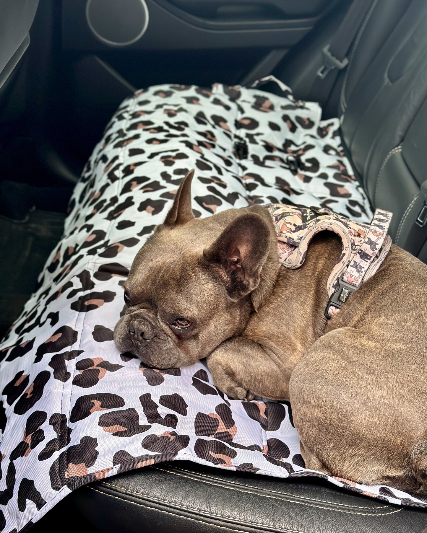 The Lavish Leopard Travel Mat