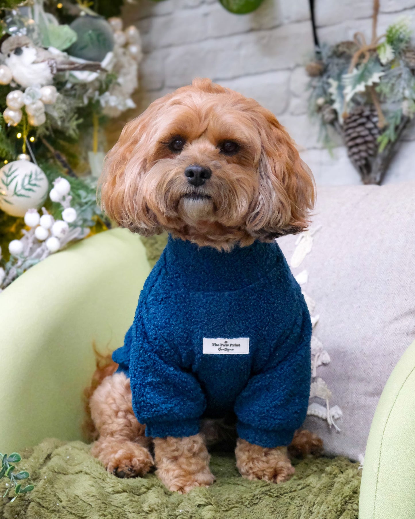 The Teal Teddy Fleece