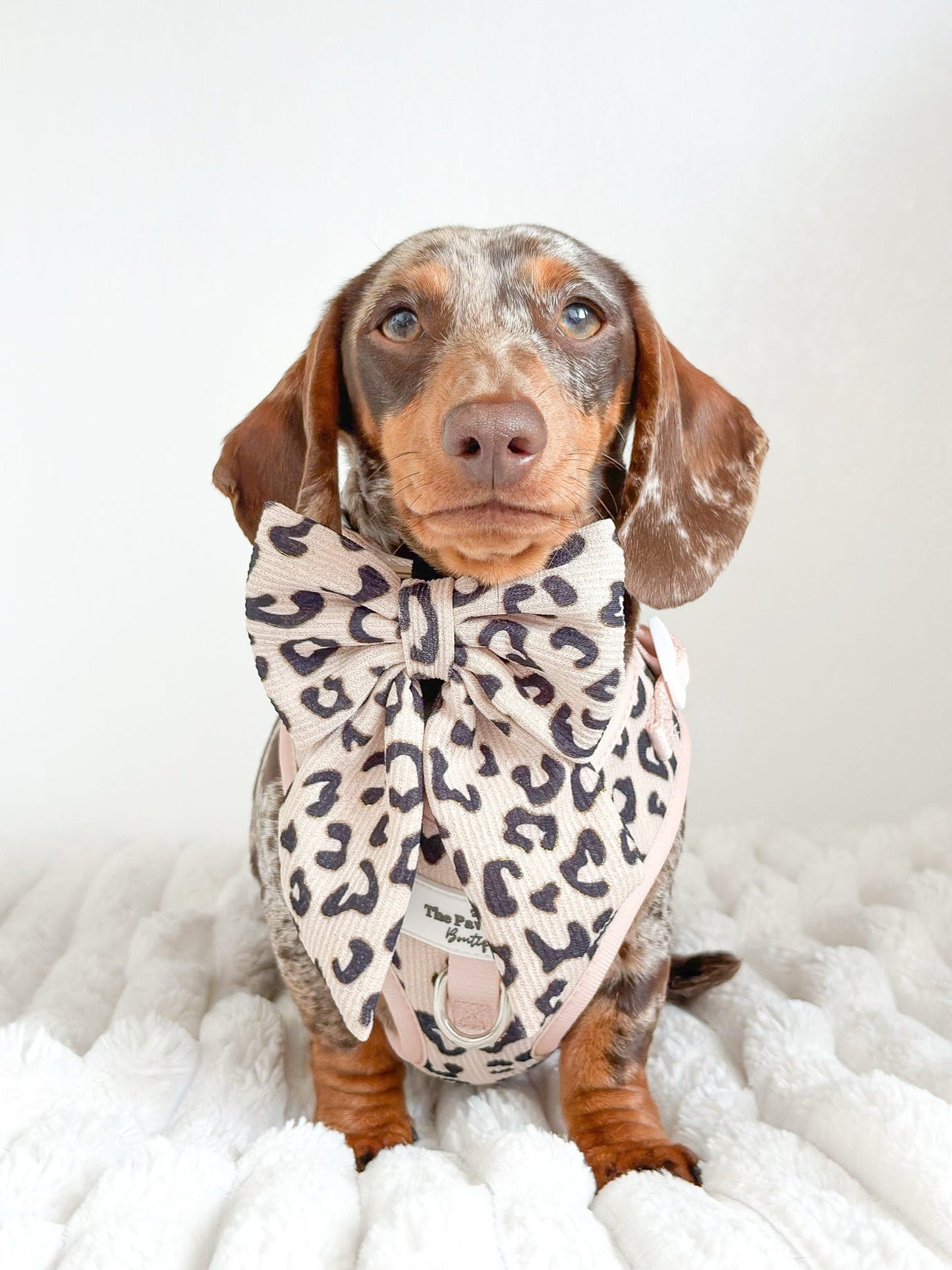 The Luxe Leopard (Beige) Bow Tie