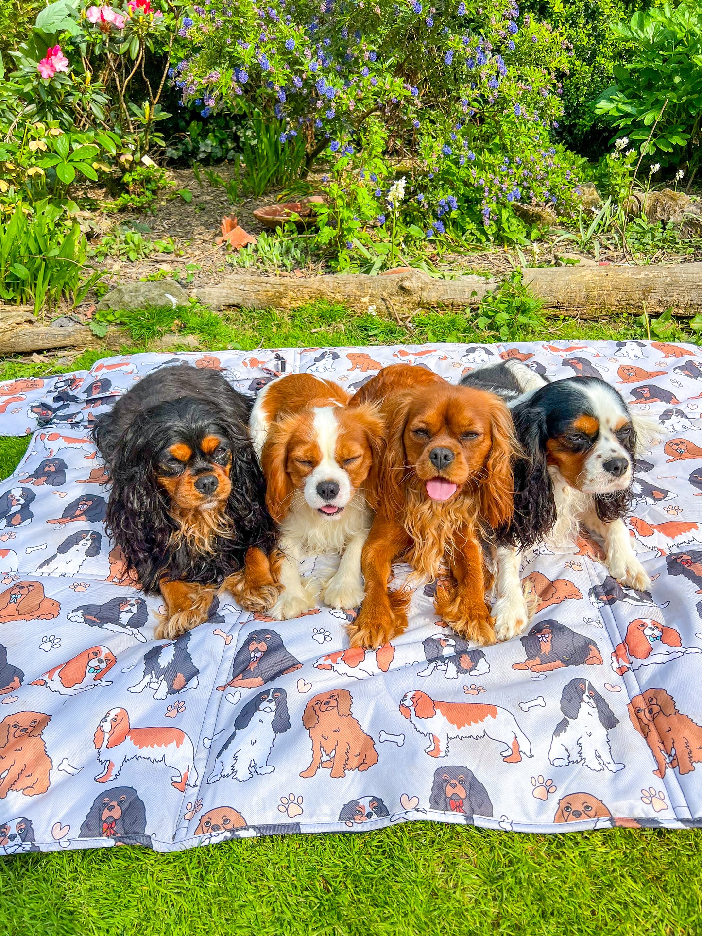 The Cavalier Picnic Mat