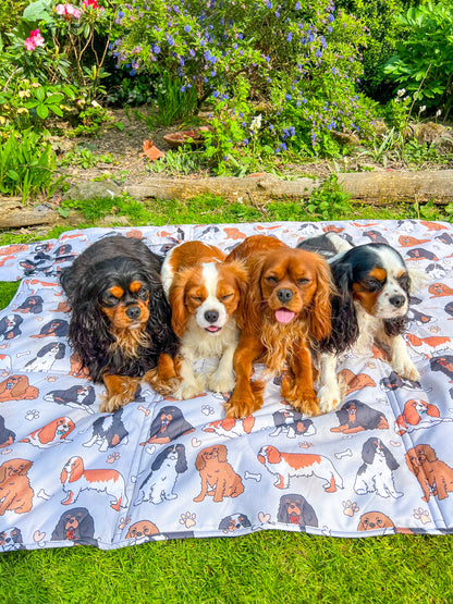 The Cavalier Picnic Mat
