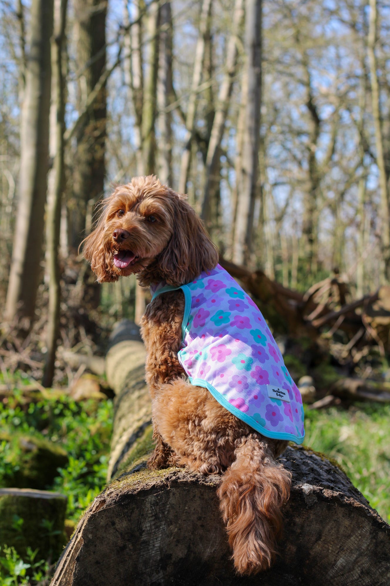 The Minty Meadows / Flower Power Cooling Vest