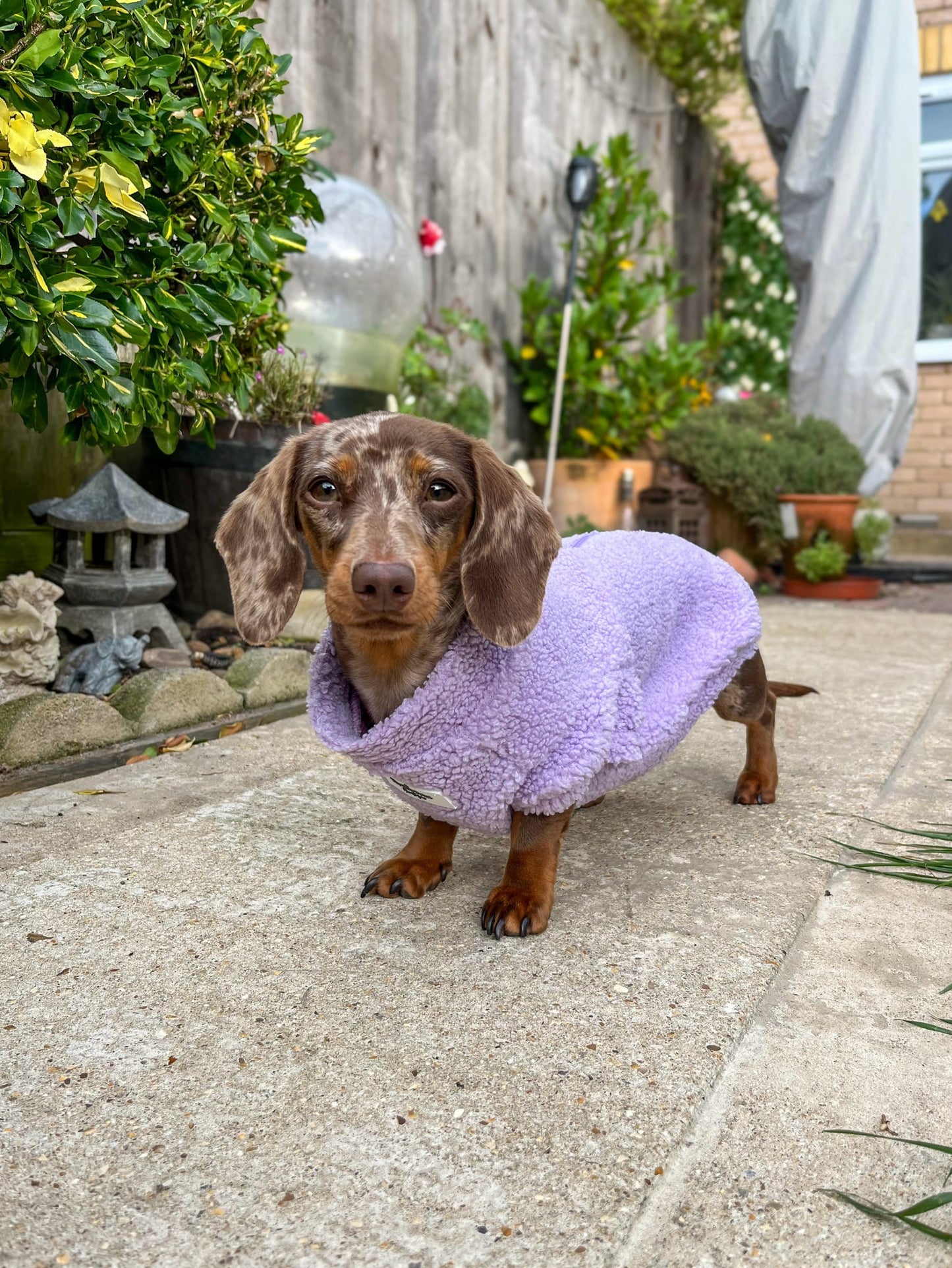 The Lilac Teddy Fleece