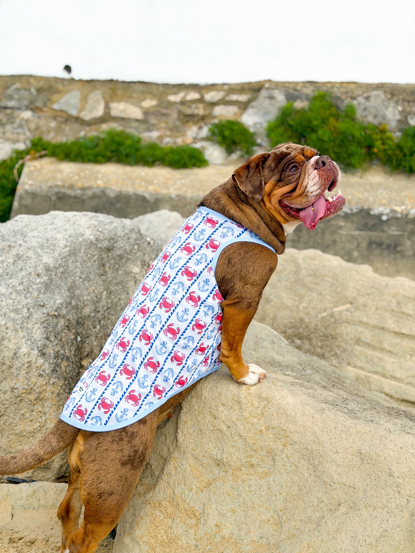Absolutely Crabulous Cooling Vest
