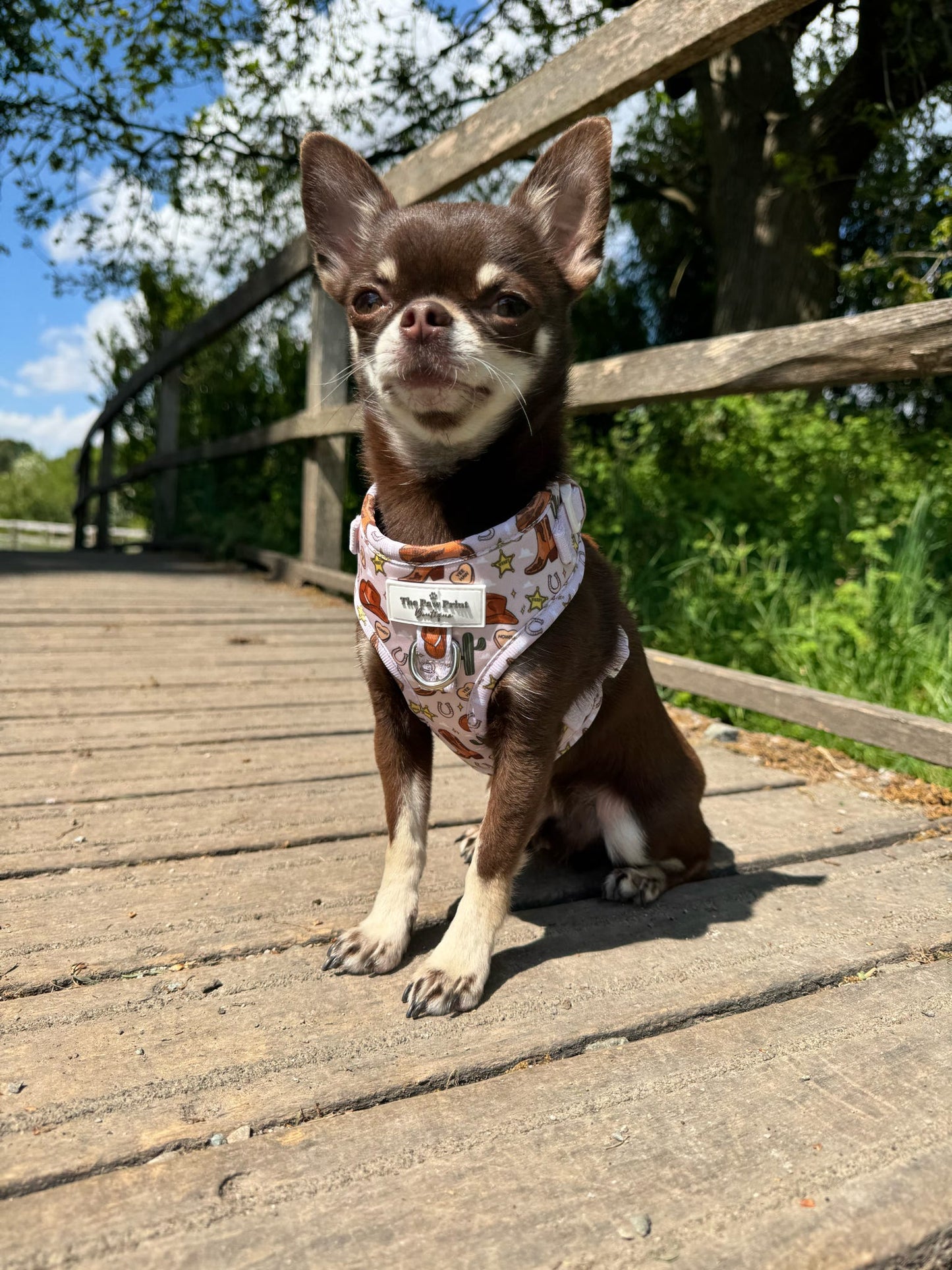 The Howdy Pawtner Adjustable Harness