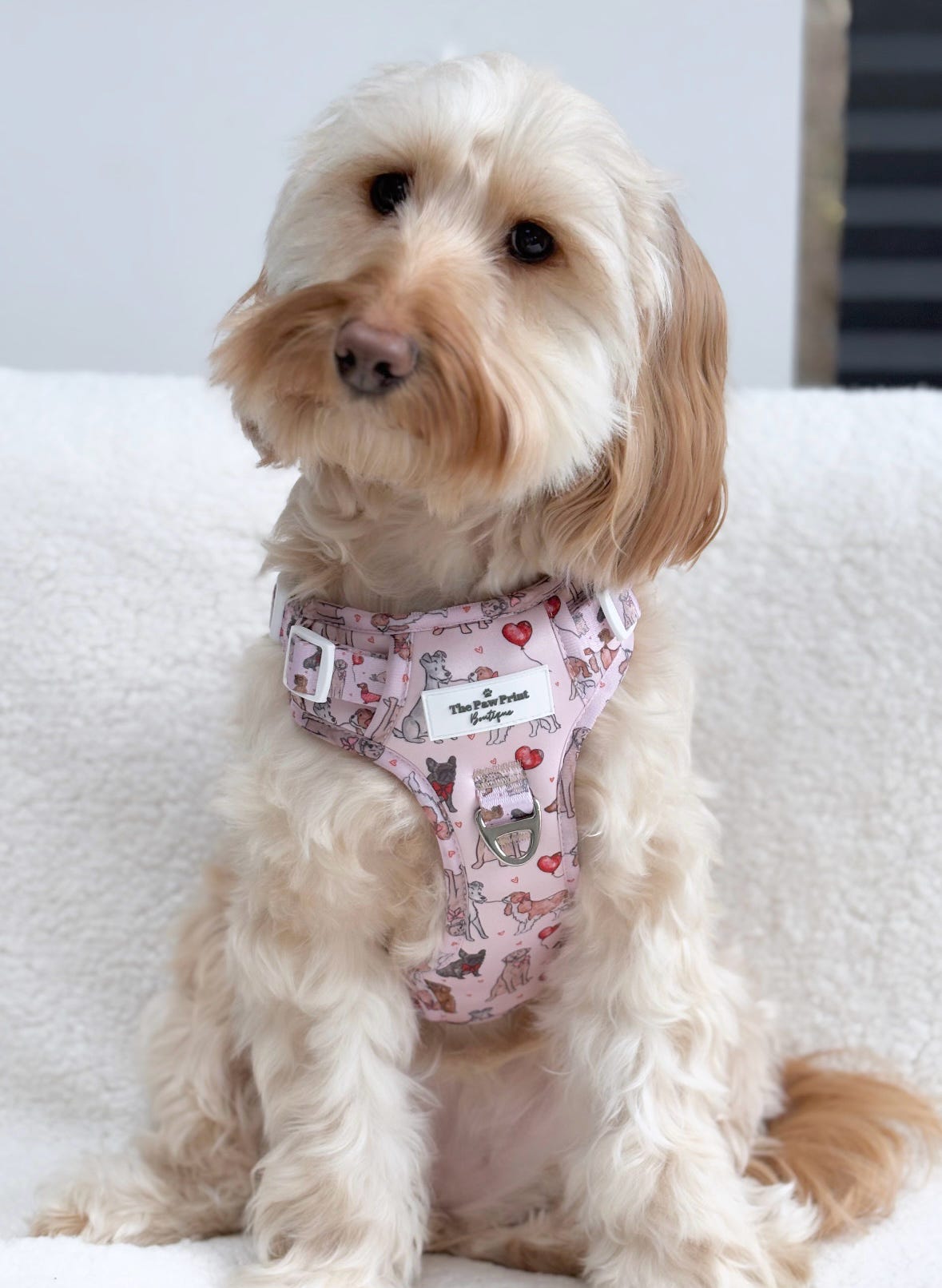 The Puppy Love Adventure Paws Harness