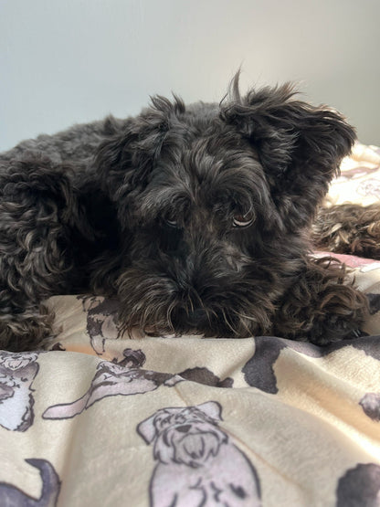 Schnauzer Dog Blanket