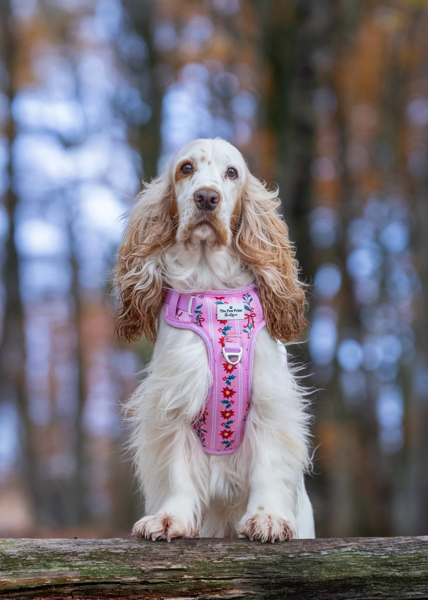 Merry Pinkmas Adventure Paws Harness