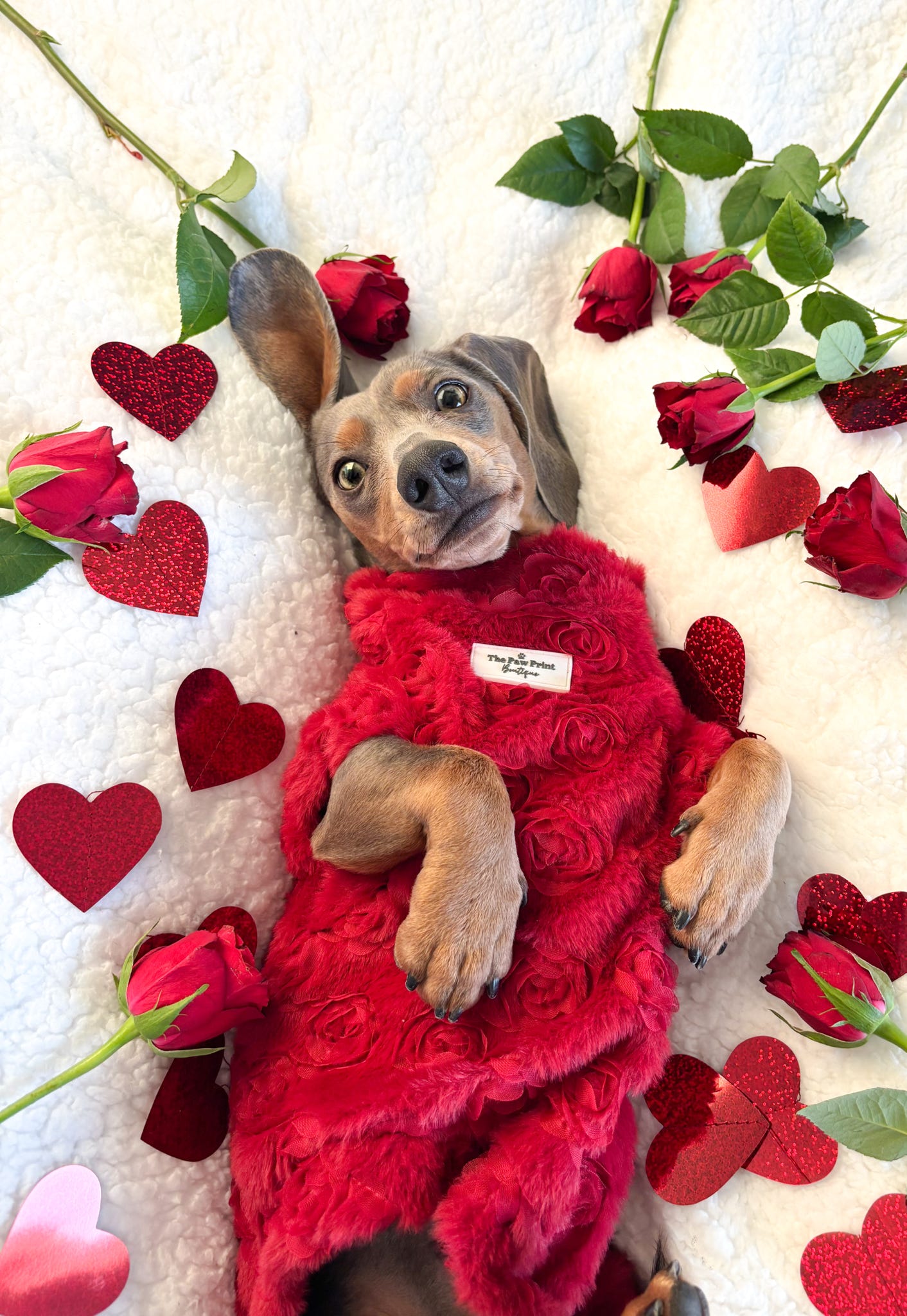 The Roses Fleece - Red