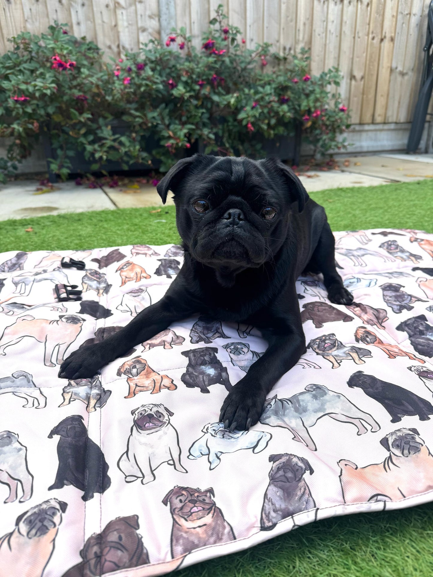 The Pug Travel Mat