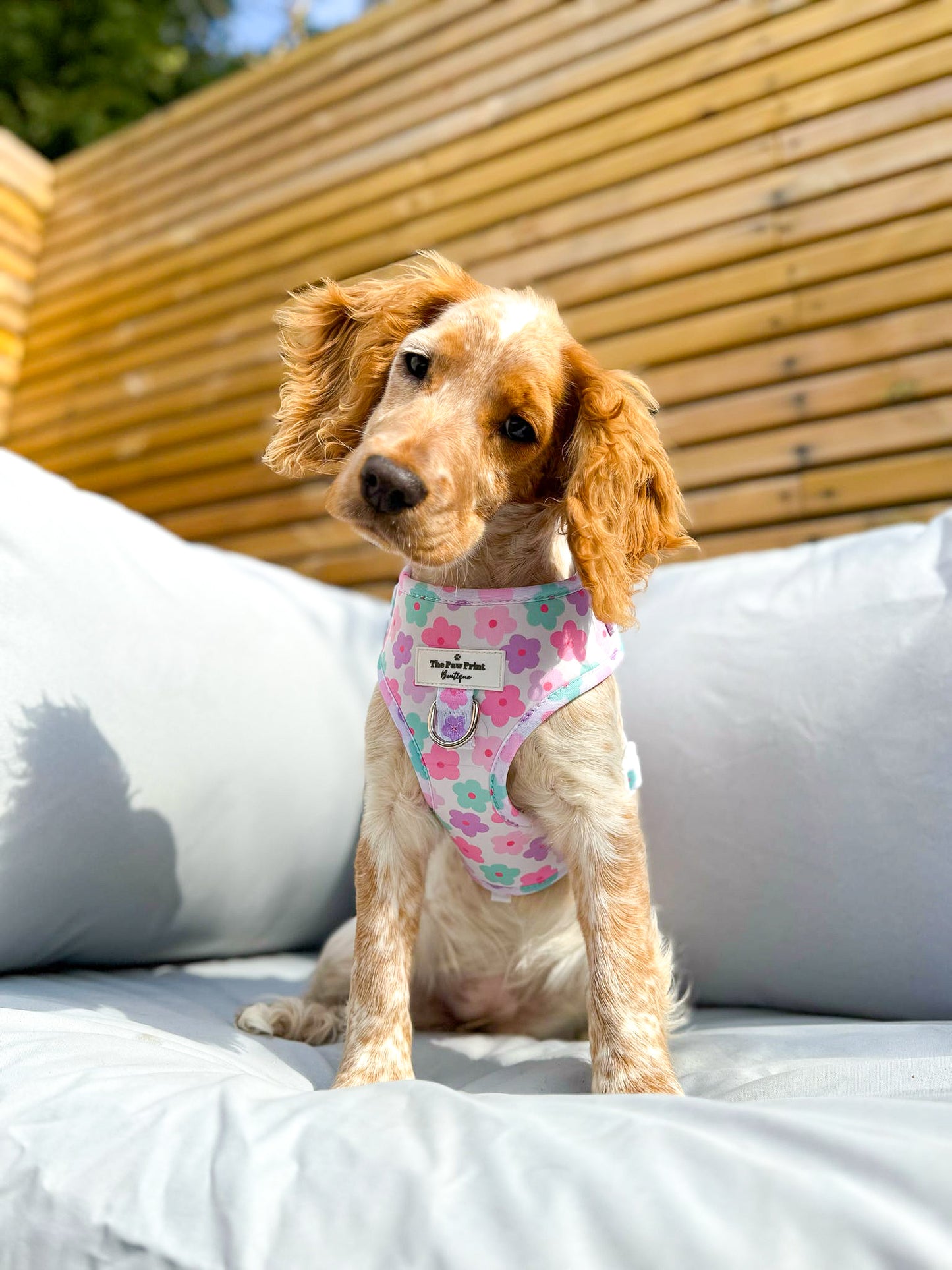 The Flower Power Adjustable Harness