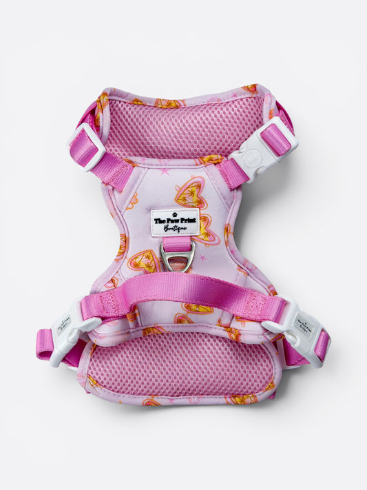 Miami Palms Adventure Paws Harness