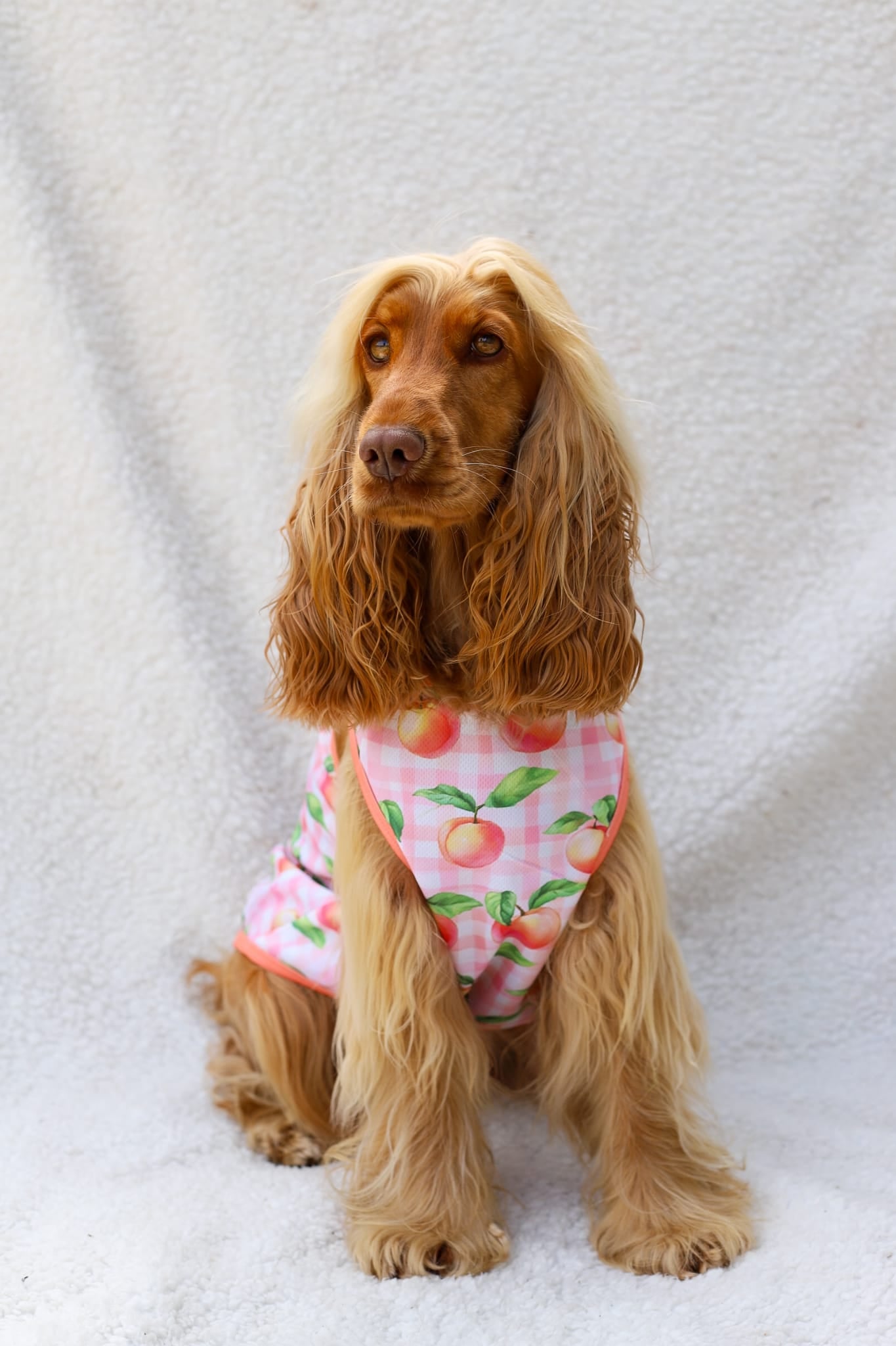 The Peach Gingham Cooling Vest
