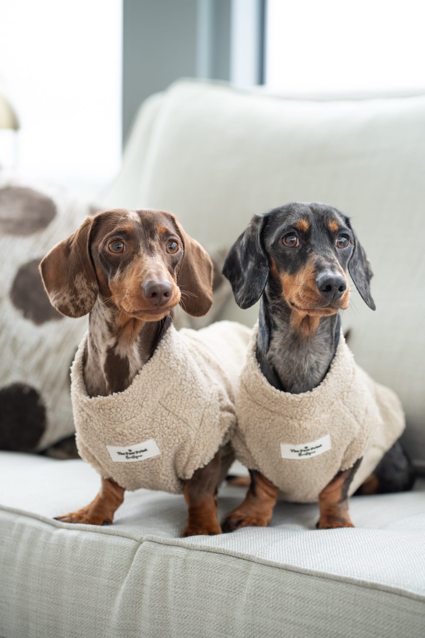The Beige Teddy Fleece