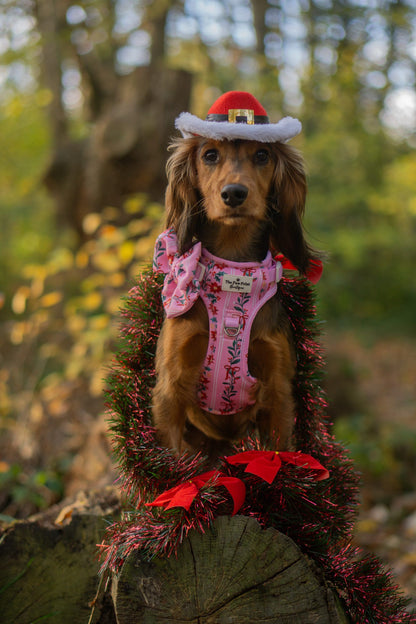 Merry Pinkmas Adventure Paws Harness