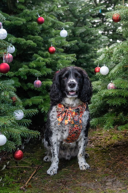 The Winter Scents Adventure Paws Harness