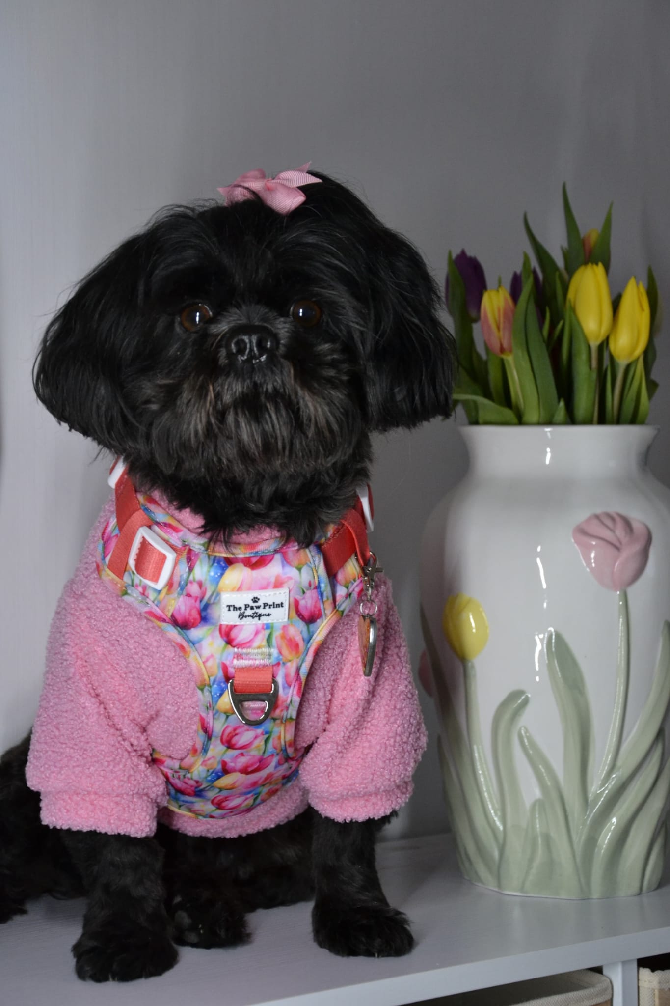 The Tulip Field Adventure Paws Harness