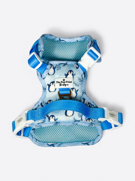 Percy Penguin Adventure Paws Harness