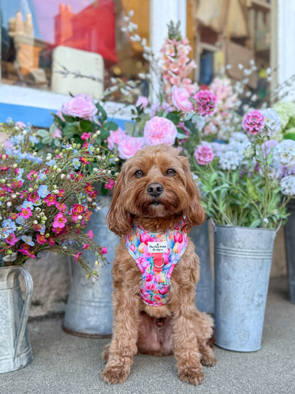 The Tulip Field Adjustable Harness