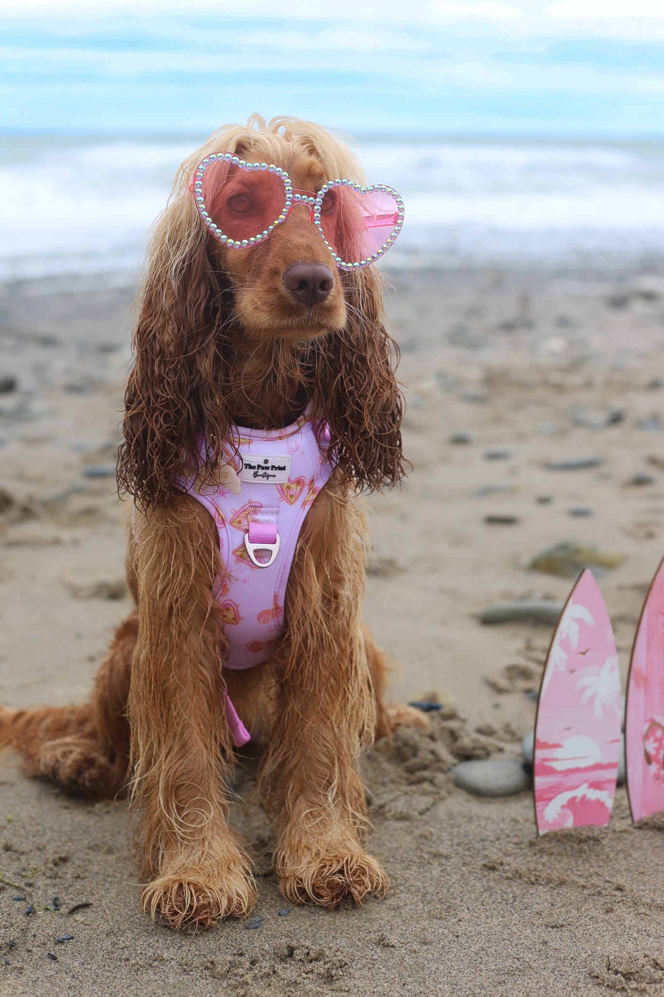 Miami Palms Adventure Paws Harness