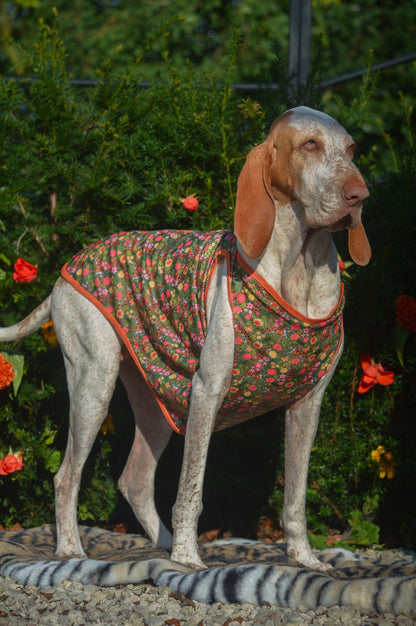 The Tiger who came to TPPB Cooling Vest