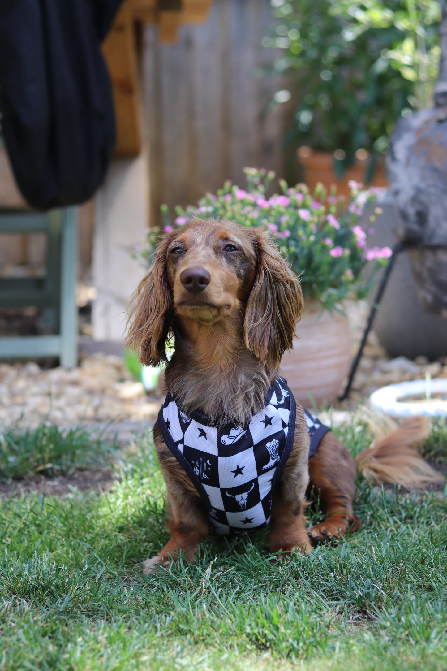 Wild West Cooling Vest
