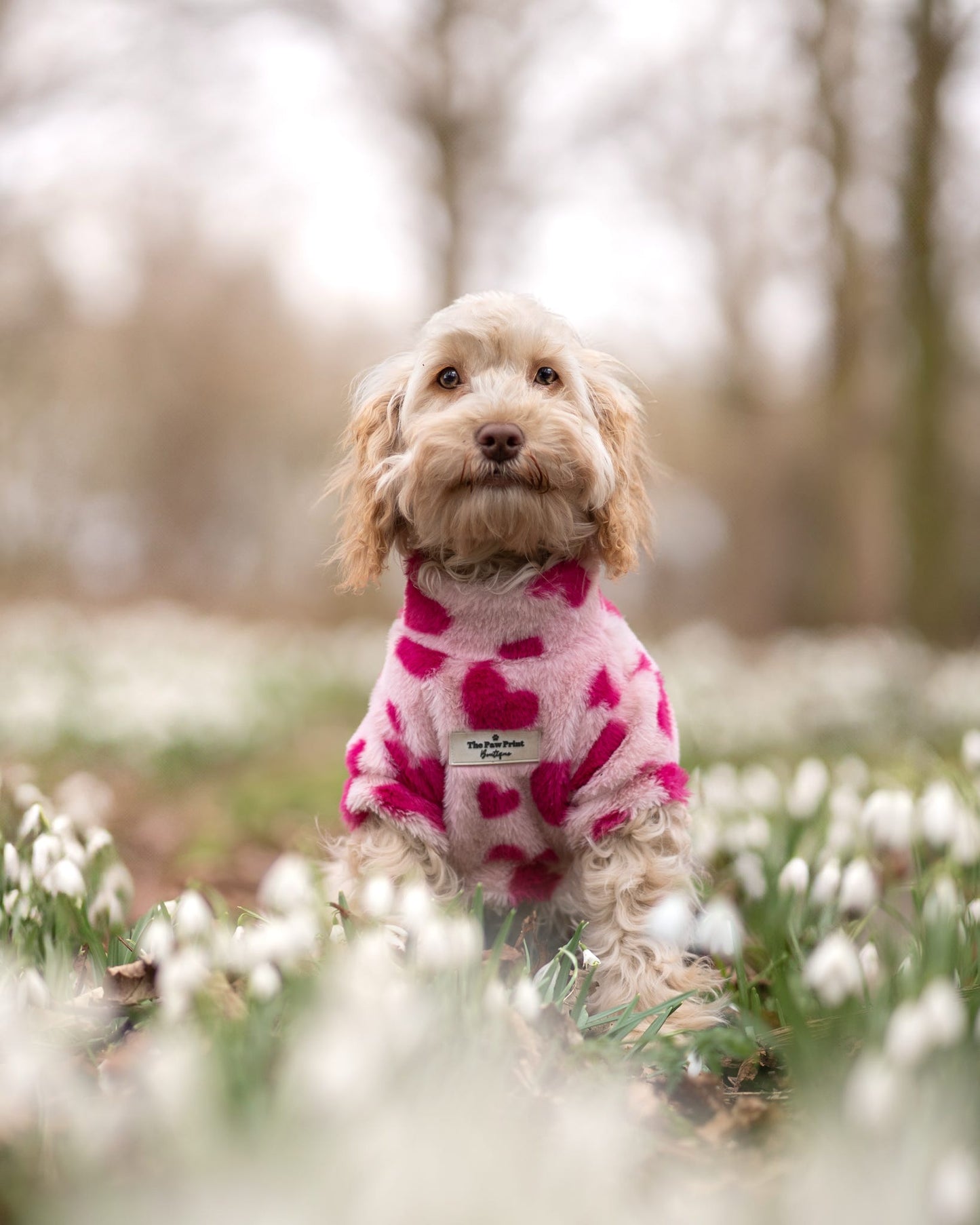 The Love Hearts Fluffy & Fabulous Fleece