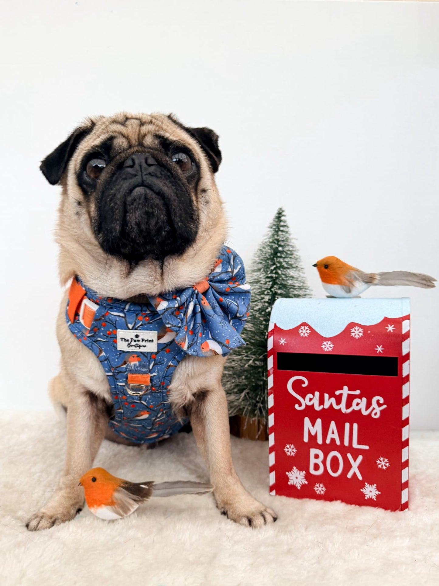 Seasons Tweetings Adventure Paws Harness