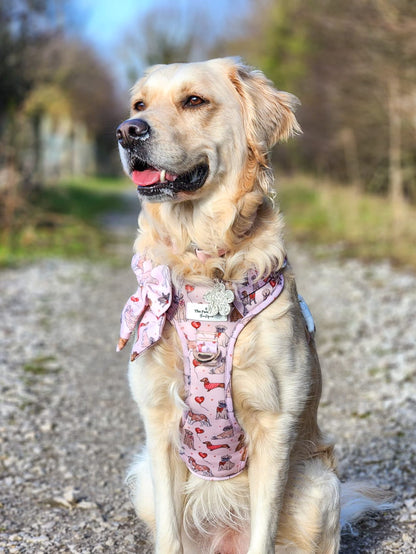 The Puppy Love Adventure Paws Harness