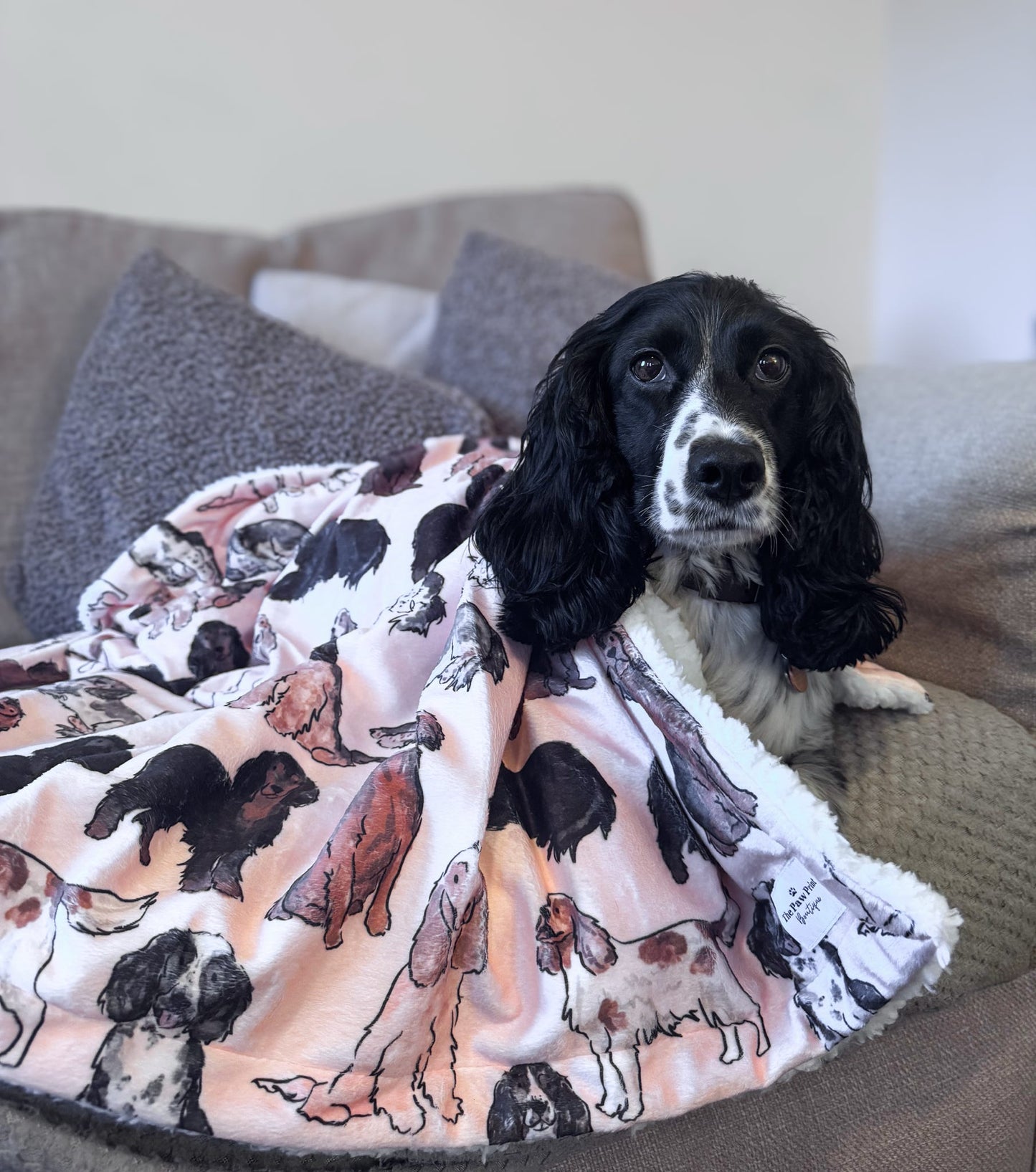 The Spaniel Dog Blanket