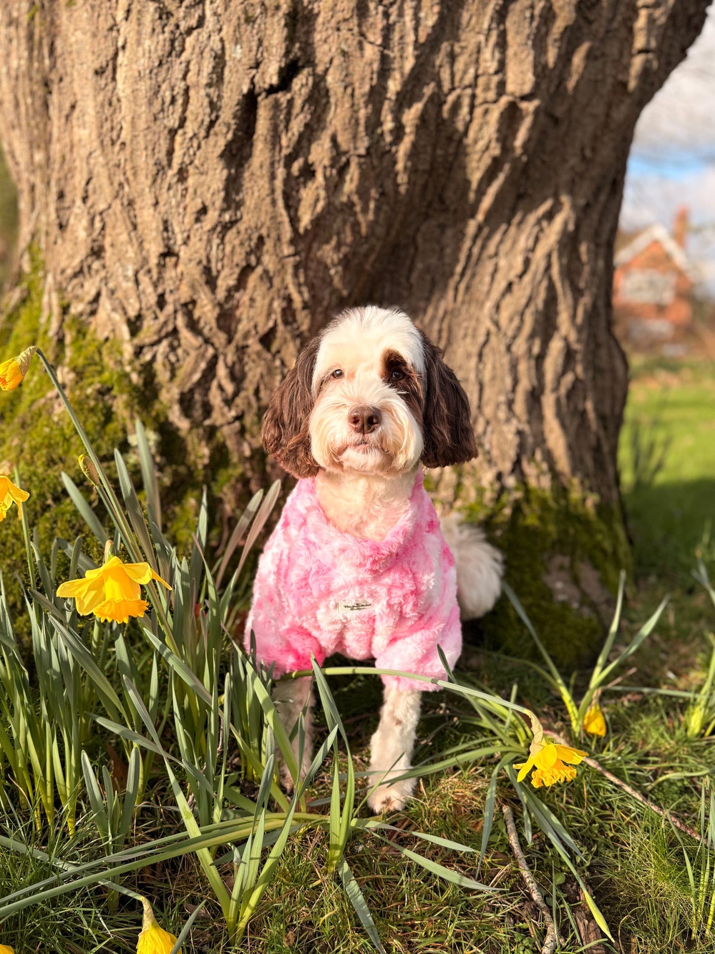 Cotton Candy Tie Dye Fleece