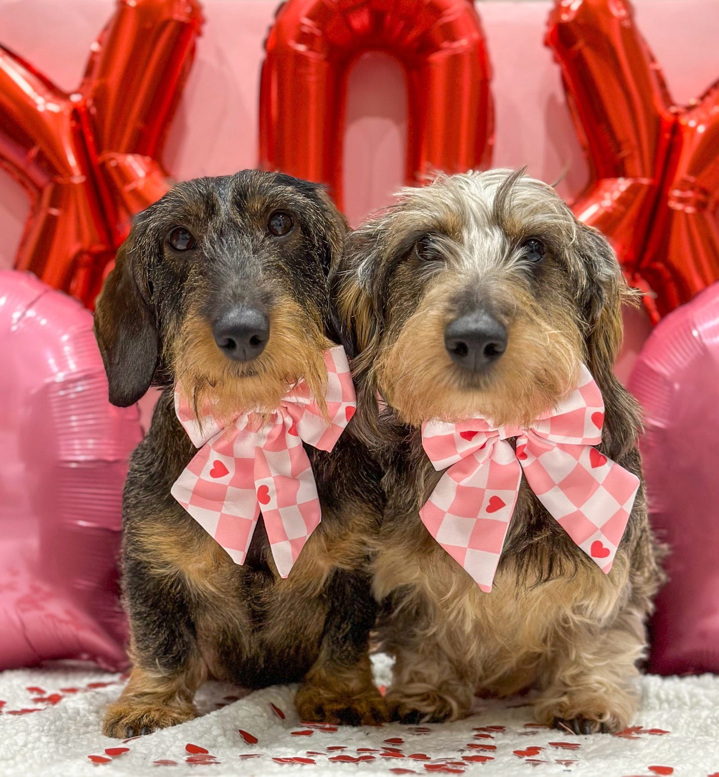 The Fur-ever Love Bow Tie