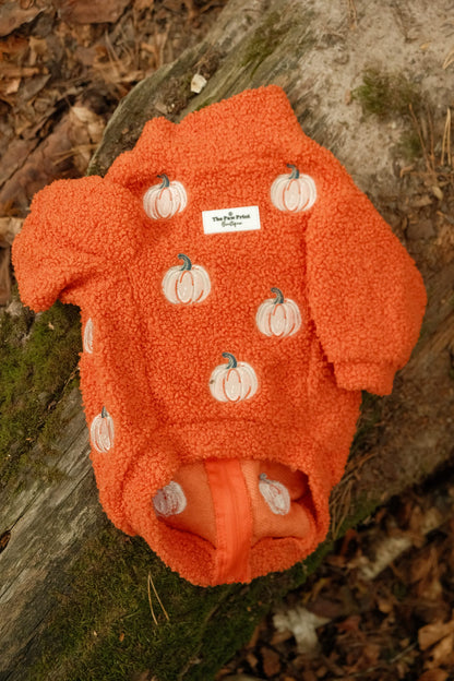 The Embroidered Pumpkins Teddy Fleece