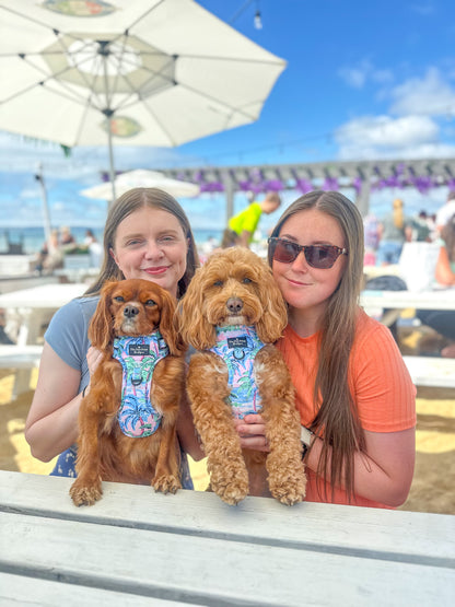 Beach Club Pawty Tickets 🏖️
