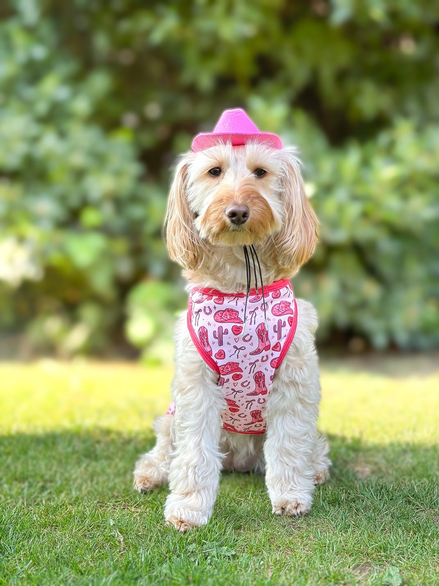 The Giddy up Pup Cooling Vest