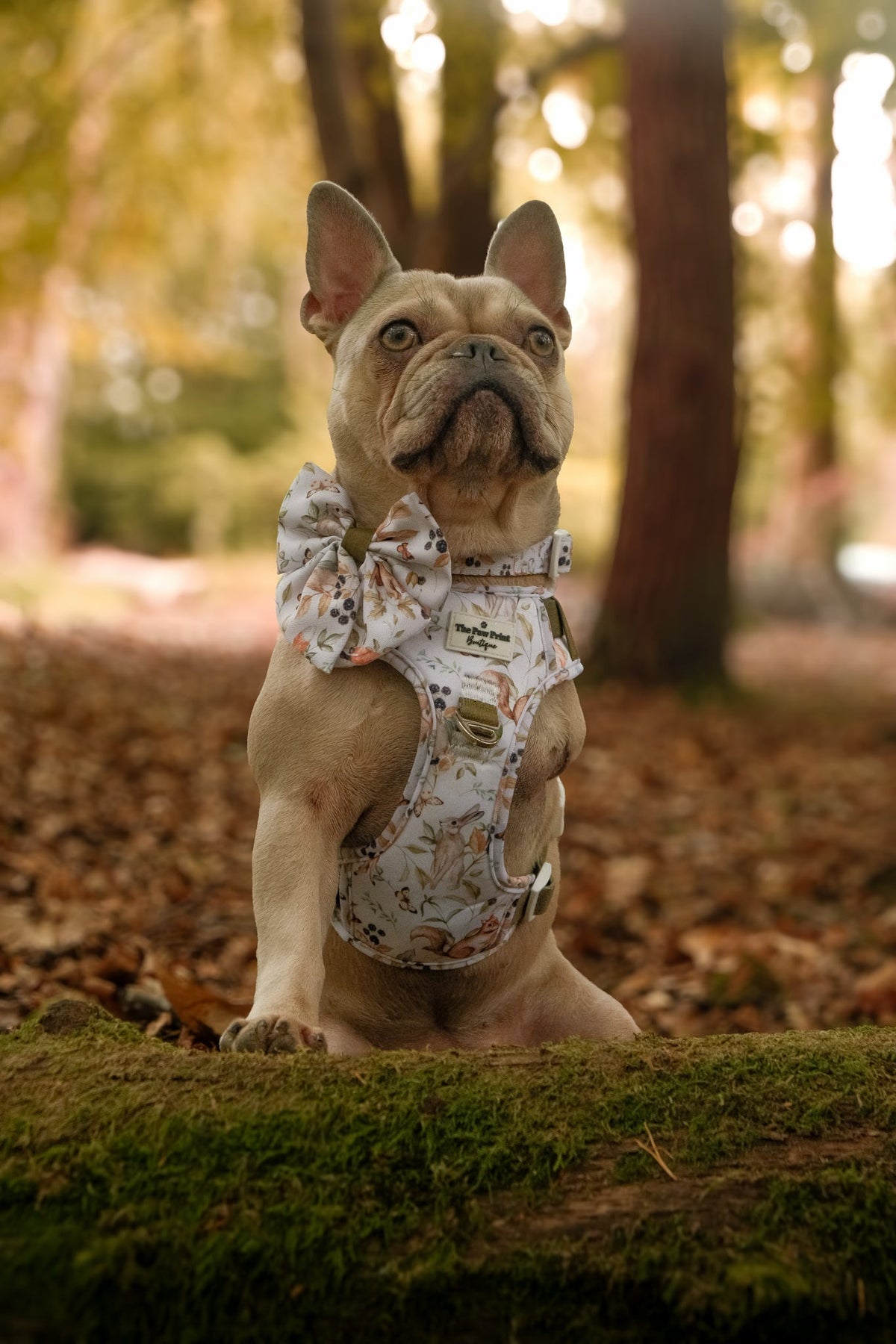 Whimsical Wildlife Bow Tie