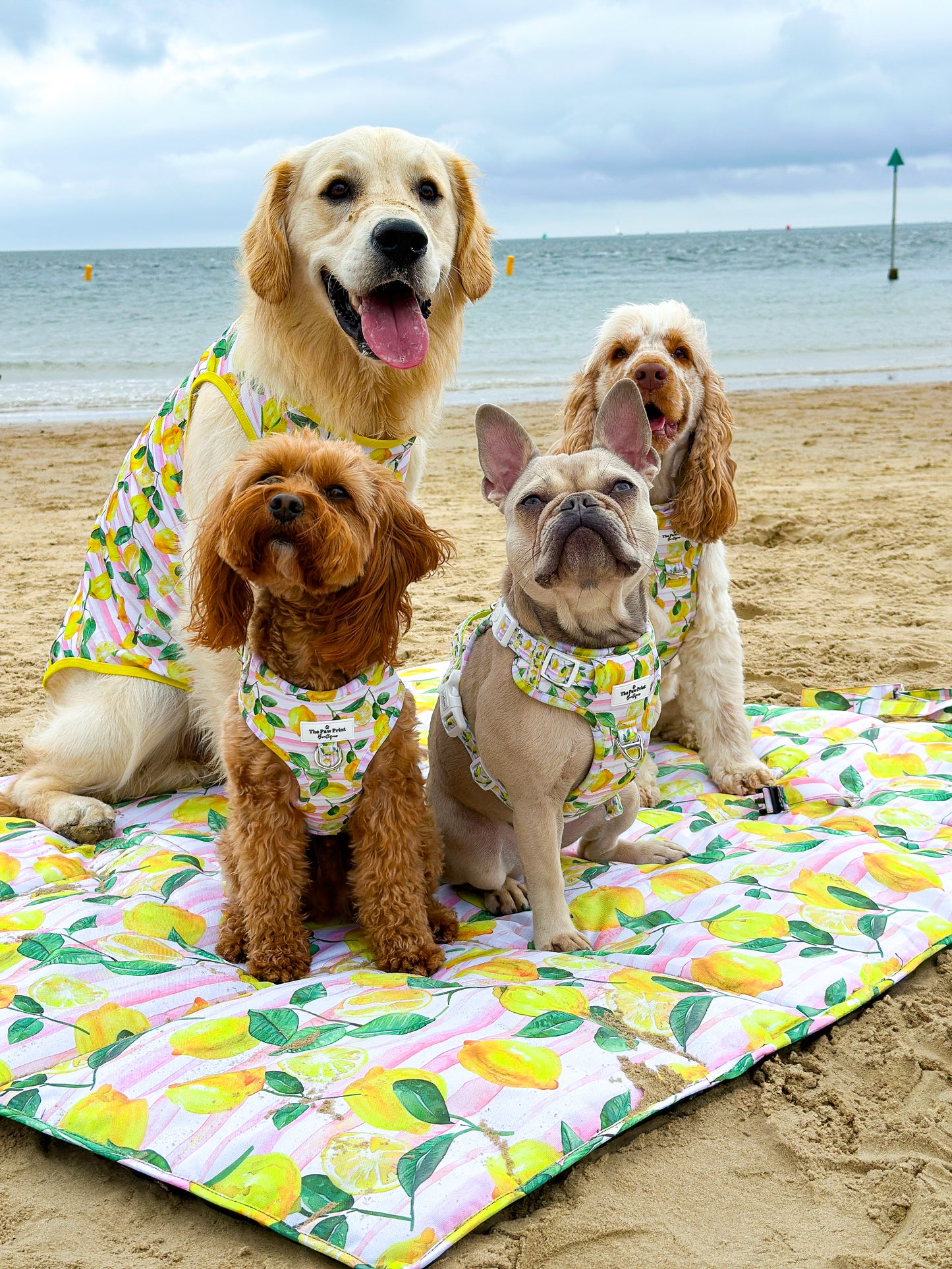 La Dolce Vita Picnic Mat